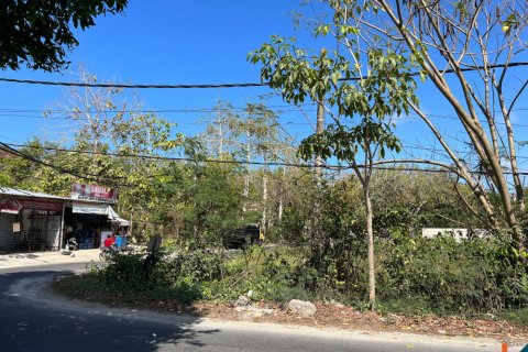 Land in Ungasan, Badung, Bali (11732) 4