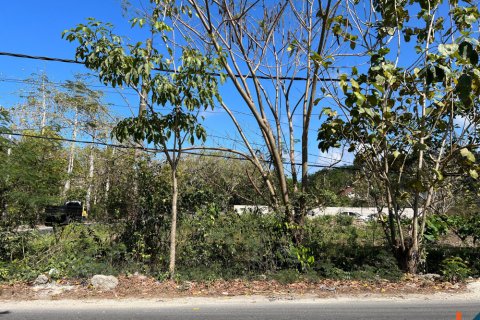 Land in Ungasan, Badung, Bali (11732) 2