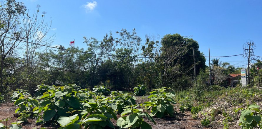Land in Ungasan, Badung, Bali (11732)