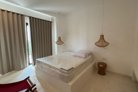 3 bedrooms Villa in Tumbak Bayuh, Mengwi, Badung, Bali (11727) 10