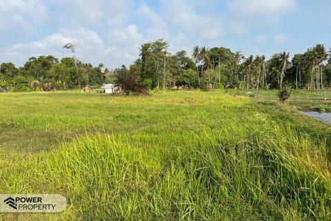 600m2 Land in Tabanan, Bali (5281) 3