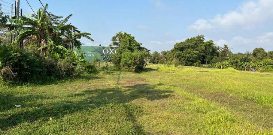 600m2 Land in Tabanan, Bali (5281)