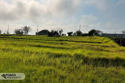 600m2 Land in Tabanan, Bali (5281) 2