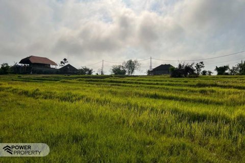 600m2 Land in Tabanan, Bali (5281) 5