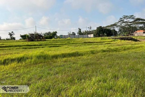 600m2 Land in Tabanan, Bali (5281) 4