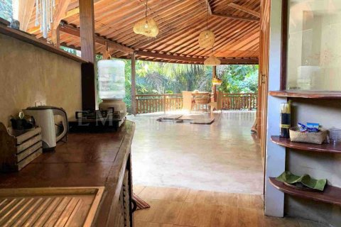 4 bedrooms Villa in Gianyar, Bali (4758) 9