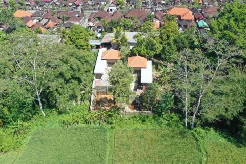 2 bedrooms Villa in Ubud, Gianyar, Bali (4754) 2