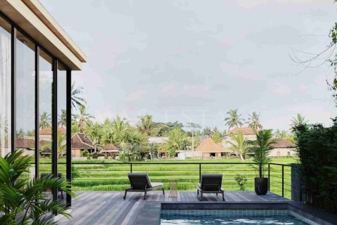 2 bedrooms Villa in Ubud, Gianyar, Bali (4754) 5