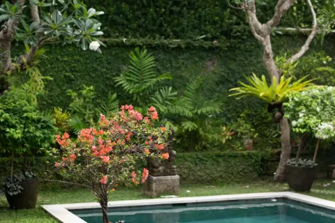 2 bedrooms Villa in Pererenan, Mengwi, Badung, Bali (11225) 5