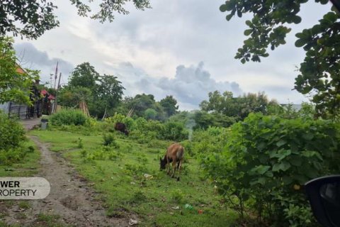 Tanah kavling 10000m2 di Kuta Selatan, Badung, Bali (10057)