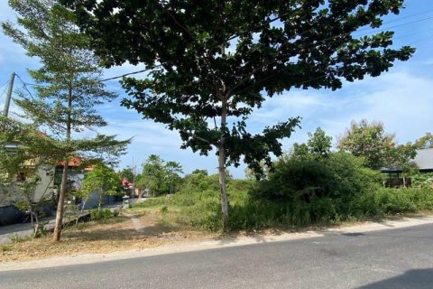 Tanah kavling 10000m2 di Kuta Selatan, Badung, Bali (10057) 2