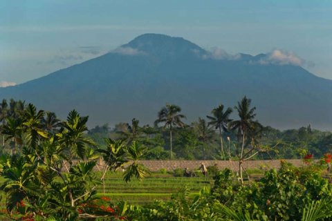 6 bedrooms Villa in Canggu, Badung, Bali (1198) 29