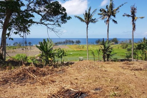 Land in South Denpasar, Denpasar, Bali (12288) 4