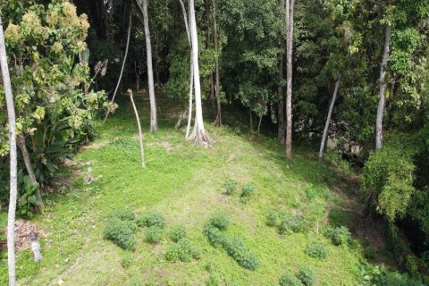 3050m2 Land in Tabanan, Bali (735) 2