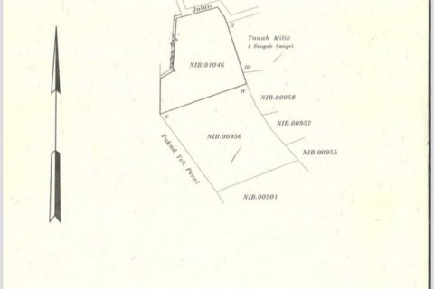 3050m2 Land in Tabanan, Bali (735) 5