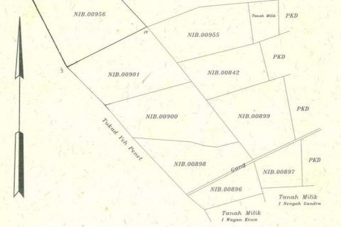 3050m2 Land in Tabanan, Bali (735) 6