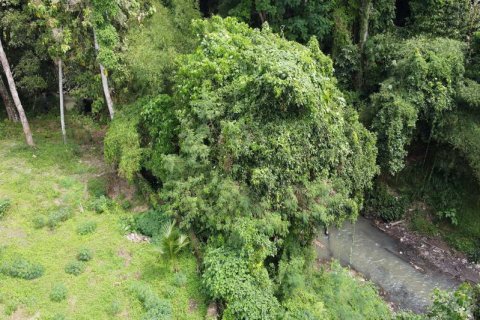 Tanah kavling 3050m2 di Tabanan, Bali (735)