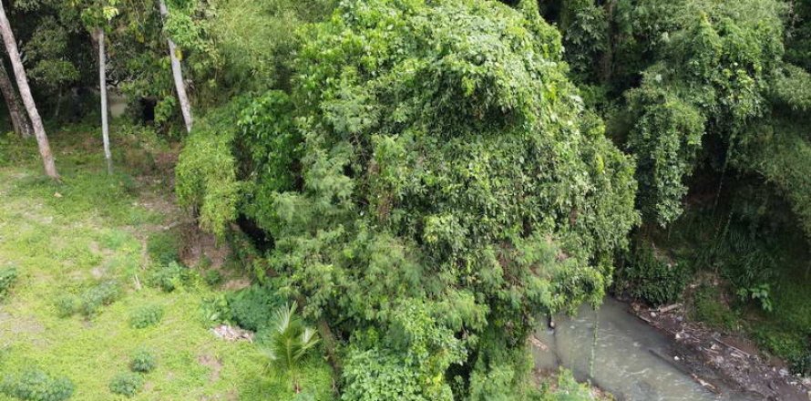 3050m2 Land in Tabanan, Bali (735)