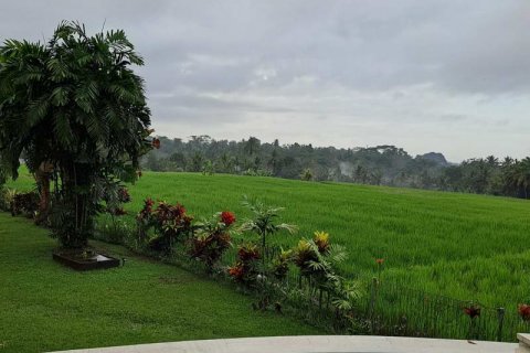 4 bedrooms Villa in Ubud, Gianyar, Bali (732) 13