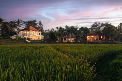 Vila 4 kamar tidur di Ubud, Gianyar, Bali (732)