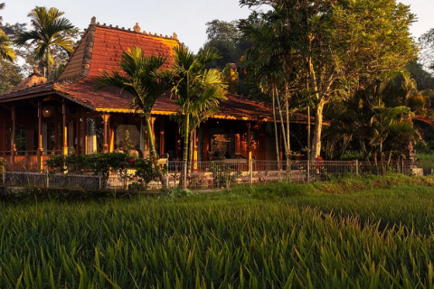 4 bedrooms Villa in Ubud, Gianyar, Bali (732) 3