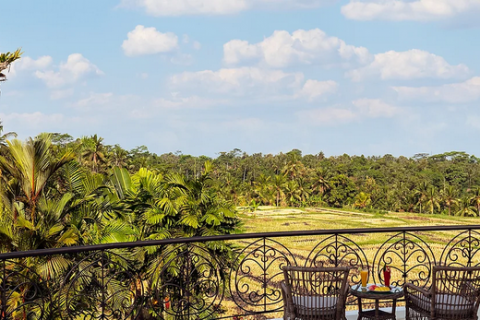 4 bedrooms Villa in Ubud, Gianyar, Bali (732) 6