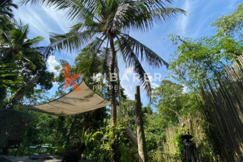 3 bedrooms Villa in Tabanan, Bali (12804) 12