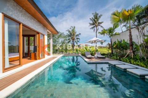 2 bedrooms Villa in Tumbak Bayuh, Mengwi, Badung, Bali (13589) 2