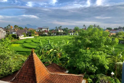 2 bedrooms Villa in Pererenan, Mengwi, Badung, Bali (10993) 3
