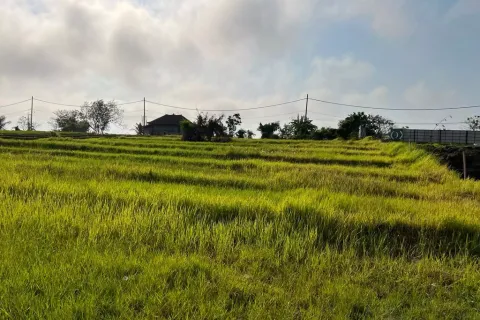 Land in Cemagi, Mengwi, Badung, Bali (10987) 8