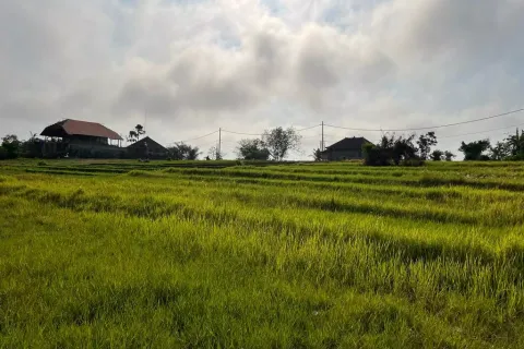 Land in Cemagi, Mengwi, Badung, Bali (10987) 7