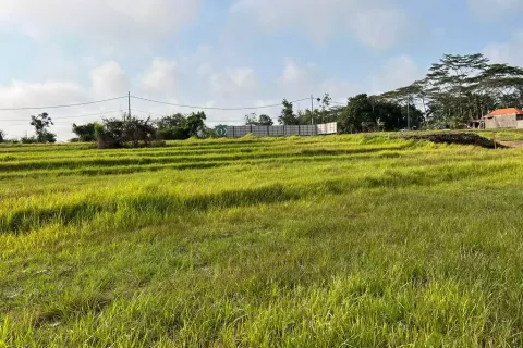 Land in Cemagi, Mengwi, Badung, Bali (10987) 6