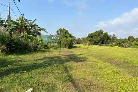 Tanah kavling di Cemagi, Mengwi, Badung, Bali (10987)