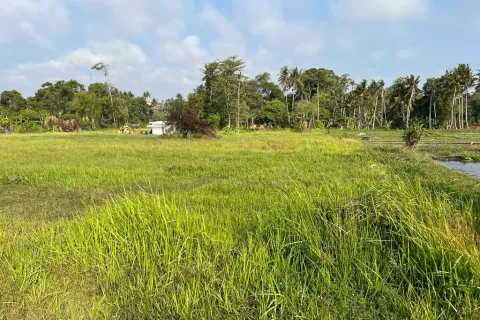 Land in Cemagi, Mengwi, Badung, Bali (10987) 5
