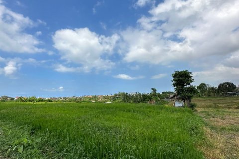 Land in Canggu, Badung, Bali (12047) 2
