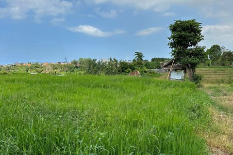 Tanah kavling di Canggu, Badung, Bali (12047)