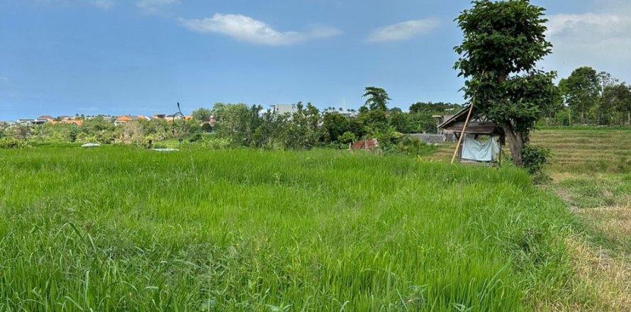 Land in Canggu, Badung, Bali (12047)