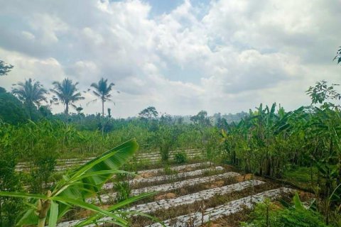 3420m2 Land in Ubud, Gianyar, Bali (13907)