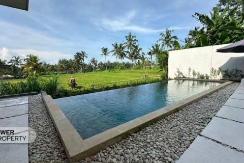 5 bedrooms Villa in Ubud, Gianyar, Bali (5298) 6