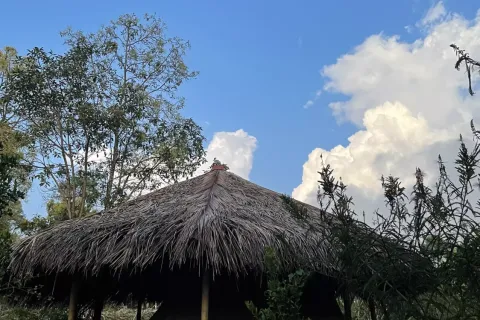 Земельный участок в Булеленг, Бали (11051) 15