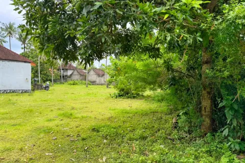 Land in Nusa Penida, Klungkung, Bali (11050) 2