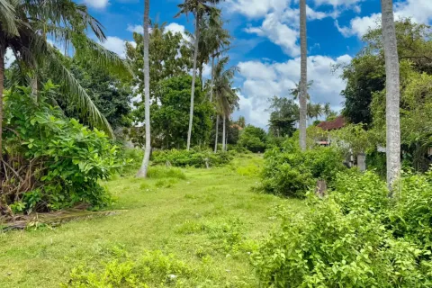Land in Nusa Penida, Klungkung, Bali (11050) 7