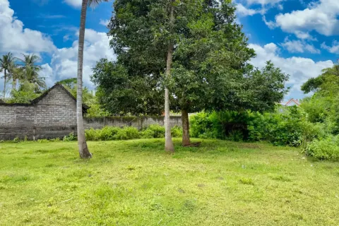 Land in Nusa Penida, Klungkung, Bali (11050) 6