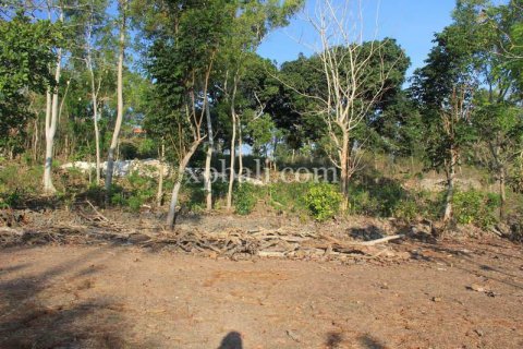 3000m2 Land in South Kuta, Badung, Bali (5953) 2