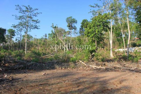 Tanah kavling 3000m2 di Kuta Selatan, Badung, Bali (5953)