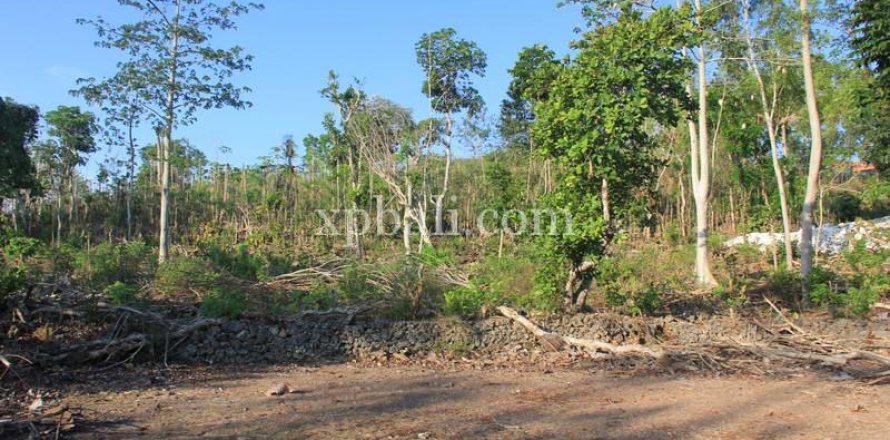 3000m2 Land in South Kuta, Badung, Bali (5953)