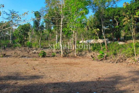 3000m2 Land in South Kuta, Badung, Bali (5953) 3