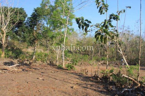 3000m2 Land in South Kuta, Badung, Bali (5953) 5