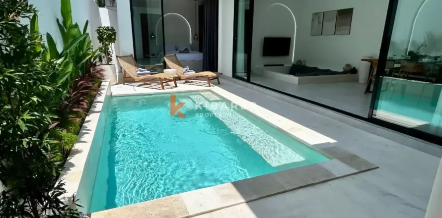 2 bedrooms Villa in Denpasar, Bali (13119)