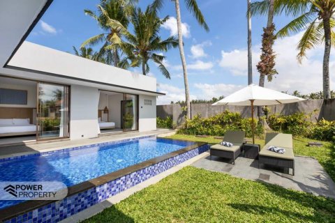 2 bedrooms Villa in Gianyar, Bali (9234) 3